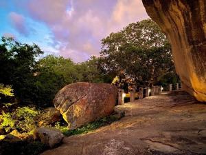 a large rock sitting on the side of a dirt road at Big Cave Camp in Matopos