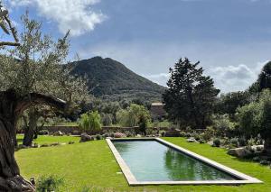a swimming pool in the middle of a grass field at Le Hameau in Figari
