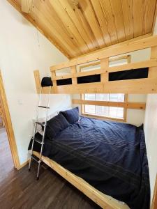 a bunk bed in a room with a ladder at Sally's Cabin is a quaint two bedroom tiny home in Woodland Park