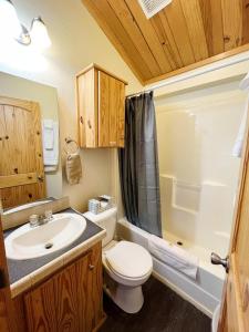 a bathroom with a sink and a toilet and a shower at Sally's Cabin is a quaint two bedroom tiny home in Woodland Park
