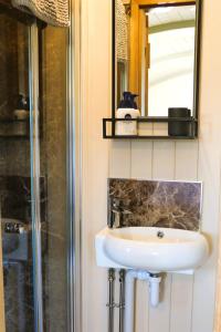 uma casa de banho com um lavatório e um espelho em Mayflower em Rhayader