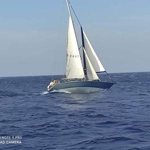 a sail boat in the ocean on the water at Cyclades sailing Experience in Finikas