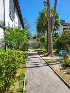 une passerelle en pierre à côté d'une maison avec des palmiers dans l'établissement Casa Pascoli, à Ravenne