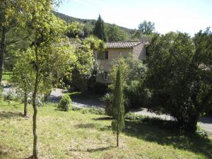 a house in the middle of a field with trees at Les Gites du Merle in Cogolin