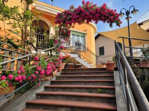 A garden outside b&b bellavista