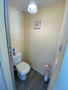 a small bathroom with a toilet and a light at Gîte Les Mariniers - 3 étoiles in Mareuil-sur-Cher