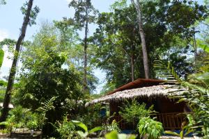 
a large tree is in the middle of the woods at Casitas Las Flores in Puerto Viejo
