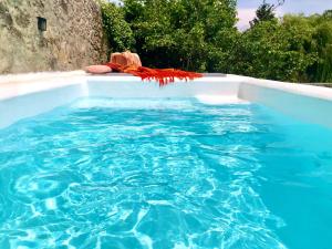 uma piscina de água azul com uma toalha vermelha em Pool oasis with private parking -Vigia 8 em Torres Vedras