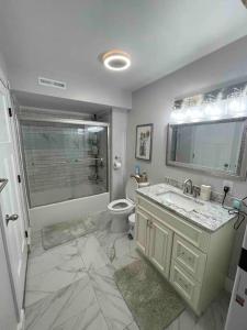 a bathroom with a sink and a toilet and a mirror at Beautiful 1 bedroom In the heart of Albany in Albany