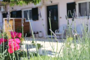 a garden with pink flowers in front of a house at Fissas Rooms in Sivota