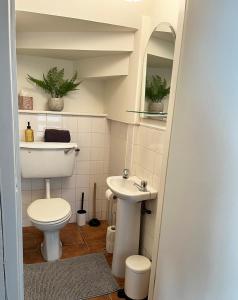 a small bathroom with a toilet and a sink at Foxy View in Dingle Town! in Dingle