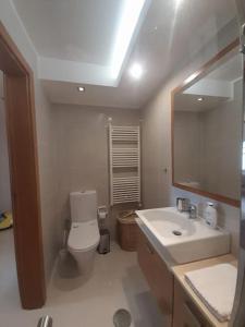 uma casa de banho com um WC, um lavatório e um espelho. em Casa da Ria Barra, Free garage em Gafanha da Nazaré