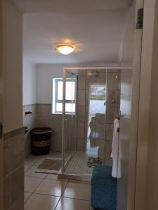 une salle de bain avec une douche avec une porte vitrée dans l'établissement Kassiesbaai Cottage, à Arniston