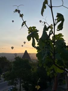 un grupo de globos de aire caliente en el cielo al amanecer en Paradise Cappadocia, en Göreme