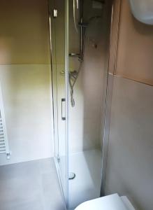 ein Bad mit einer Dusche und einem WC in der Unterkunft 44 Ricci in Anghiari