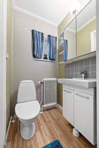 a bathroom with a white toilet and a sink at Old Post Office now cosy apartment close to nature in Hedenäset