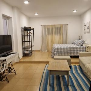 巴拉那的住宿－Monoambiente Urquiza，带沙发和电视的客厅