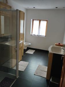 uma casa de banho com um chuveiro, um lavatório e um WC. em Casa de pe lac Fedelesoiu , em Râmnicu Vâlcea