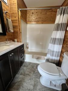 uma casa de banho com um WC, um lavatório e um chuveiro em Denali Park View House em Healy