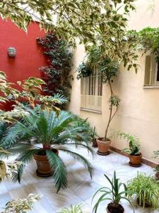 Ogród w obiekcie Acogedor y tranquilo cerca de las setas - centro