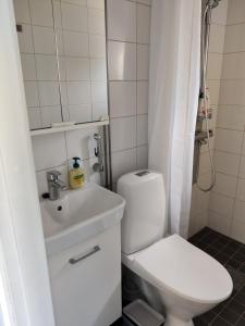 a small bathroom with a toilet and a sink at M Apartments Piikahaka in Tampere