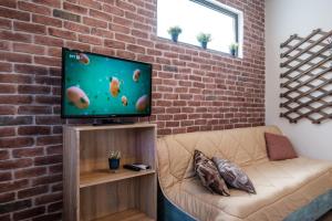 TV a/nebo společenská místnost v ubytování Pepe home