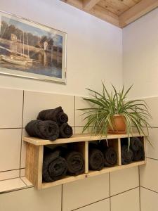 a bathroom with a shelf with towels and a plant at Pferdestall - a87338 in Kiel