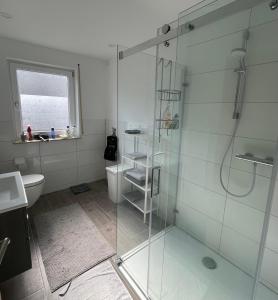 uma casa de banho com uma cabina de duche em vidro e um WC. em Ferienwohnung FM Moselle em Reil