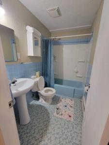 a bathroom with a sink and a toilet and a shower at Cozy apt in center of Saint John NB in Saint John