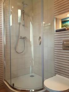 a bathroom with a shower and a toilet at Apartamenty Nad Jeziorem in Postawele