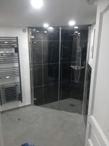 uma casa de banho com um chuveiro e uma porta de vidro em Appartement dans maison atypique em Montrond-les-Bains
