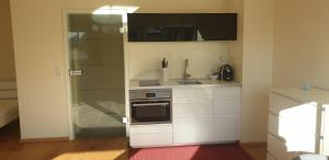 Kuchyň nebo kuchyňský kout v ubytování Apartment Lindenberg FEWO