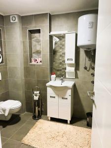 a bathroom with a sink and a toilet at Apartment River in Bratunac