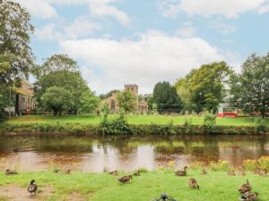 a group of ducks in the grass next to a river at Brampton Cottage in Appleby