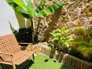 a chair and plants in front of a stone wall at Clemens9 Premium in Málaga