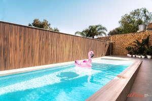 a pink swan in a swimming pool at Spinola Stays in St. Julianʼs