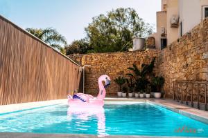 a pink flamingo swimming in a swimming pool at Spinola Stays in St. Julianʼs