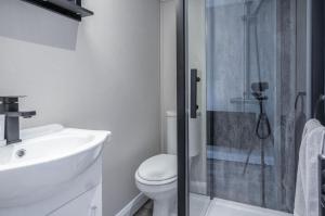 アムロスにあるThe Studio - 1 Bedroom Cabin - Amrothのトイレとガラスのシャワー付きのバスルーム +27枚の写真