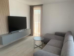 a living room with a couch and a flat screen tv at JAD - Luxury - 3 Room Apartments - Urban Plaza in Braşov