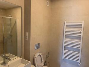 a bathroom with a toilet and a sink and a mirror at JAD - Luxury - 3 Room Apartments - Urban Plaza in Braşov