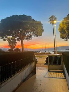 een zonsondergang boven de oceaan met een bank en een boom bij Cool Appart sur Croisette Palm Beach in Cannes