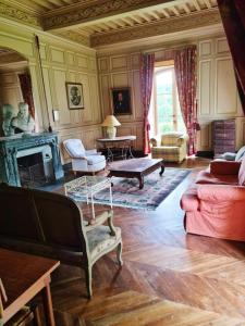 een woonkamer met meubilair en een open haard bij Château de Barral in Hauterives
