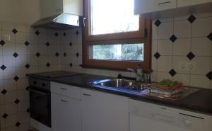 eine Küche mit einem Waschbecken und einem Fenster in der Unterkunft Ferienhäusle Sonnenblume Titisee in Titisee-Neustadt