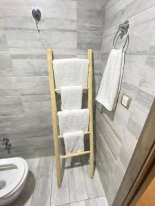 ein Badezimmer mit einem Handtuchhalter und einem WC in der Unterkunft Appartements California in Kenitra