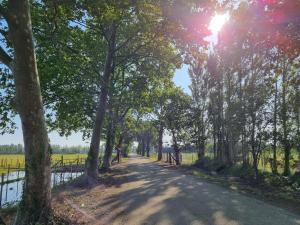 阿爾勒的住宿－La Tapie de Bouchet，一条绿树成荫的有栅栏和田野的道路
