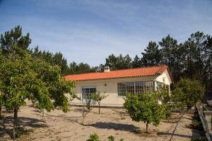 una pequeña casa blanca con techo naranja en Nazaré Landscape, en Nazaré