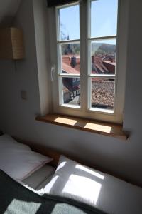 une chambre avec un lit et une fenêtre avec vue dans l'établissement Ferienwohnung Am Westerntor 1, à Wernigerode