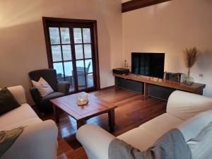 een woonkamer met 2 banken en een televisie bij Maison de vacances familiale des Gorges du Verdon in Castellane
