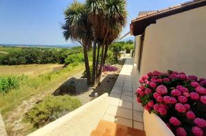 - un balcon orné de fleurs roses et de palmiers dans l'établissement Mas Natura, à Banyuls-dels-Aspres