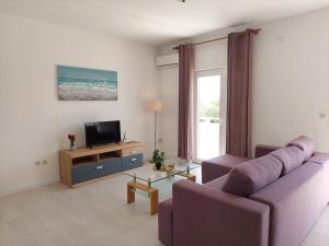 een woonkamer met een paarse bank en een tv bij Apartments Donadic III, Caska in Novalja